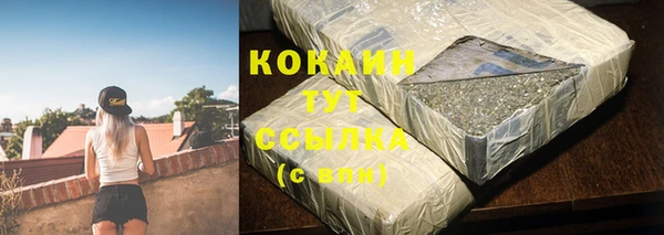 спиды Горняк
