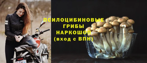 спиды Горняк