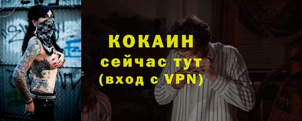 спиды Горняк