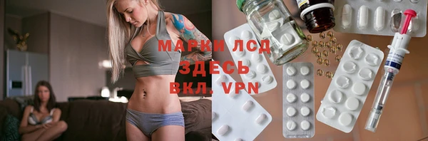 спиды Горняк