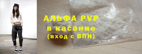 спиды Горняк
