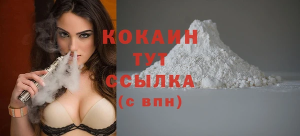спиды Горняк