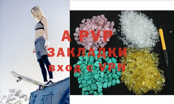 спиды Горняк