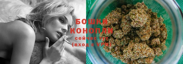 спиды Горняк